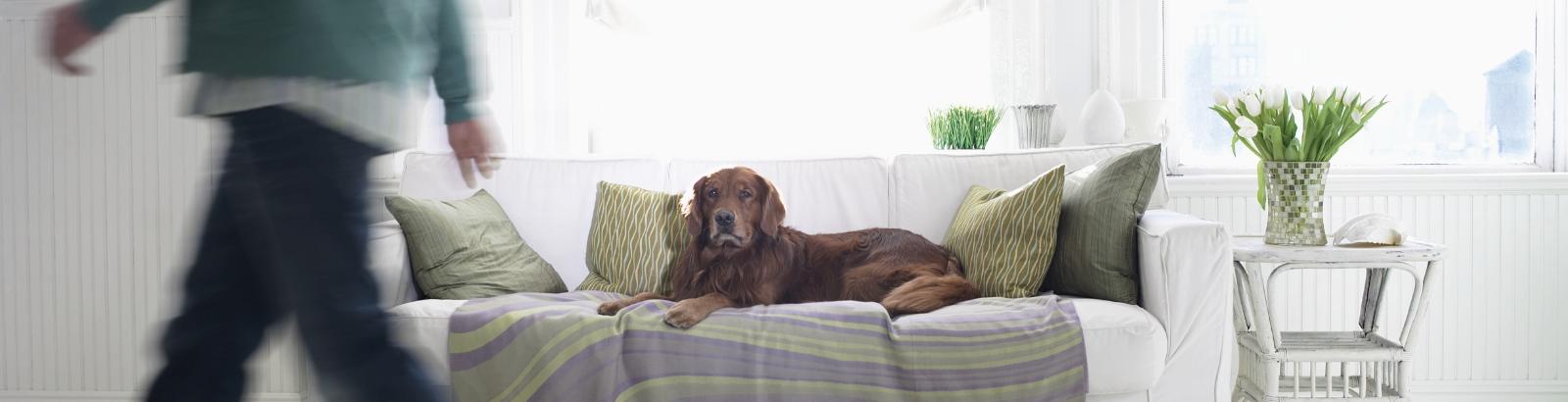 The Best Floor For Every Room Solidfloor The Best Floor For Every Room Solidfloor